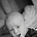 Gal_131805_0060 copy